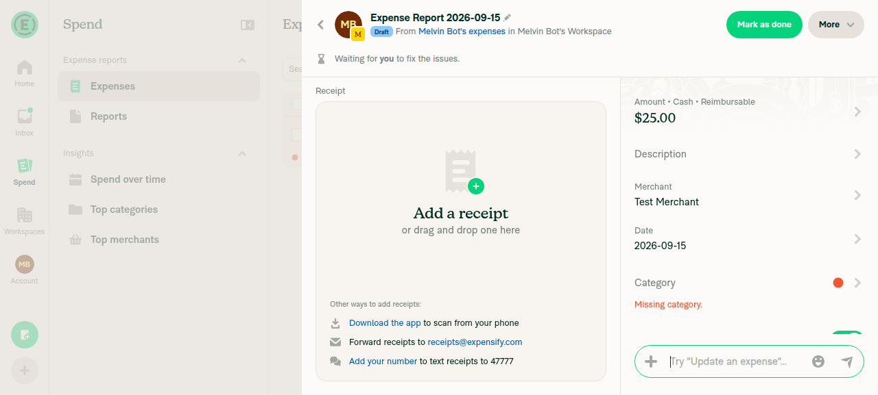 Report view opened after clicking the expense row