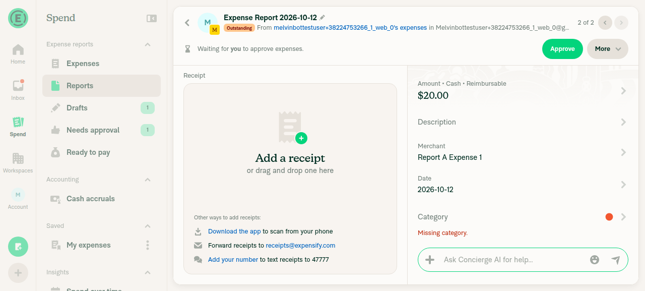Report A single-expense view with receipt and fields