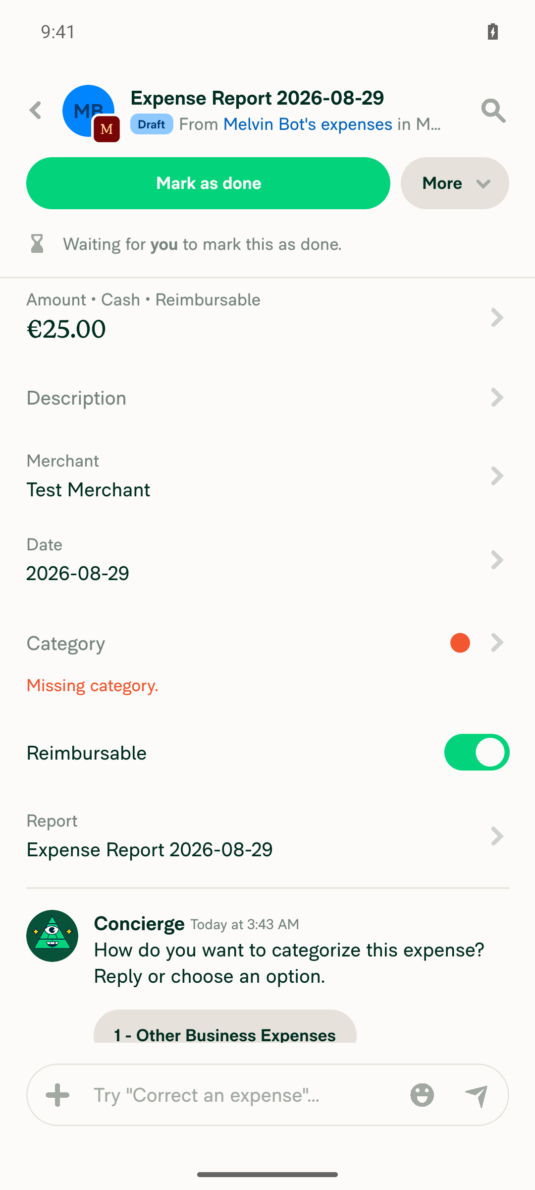 Single-expense report view after submission