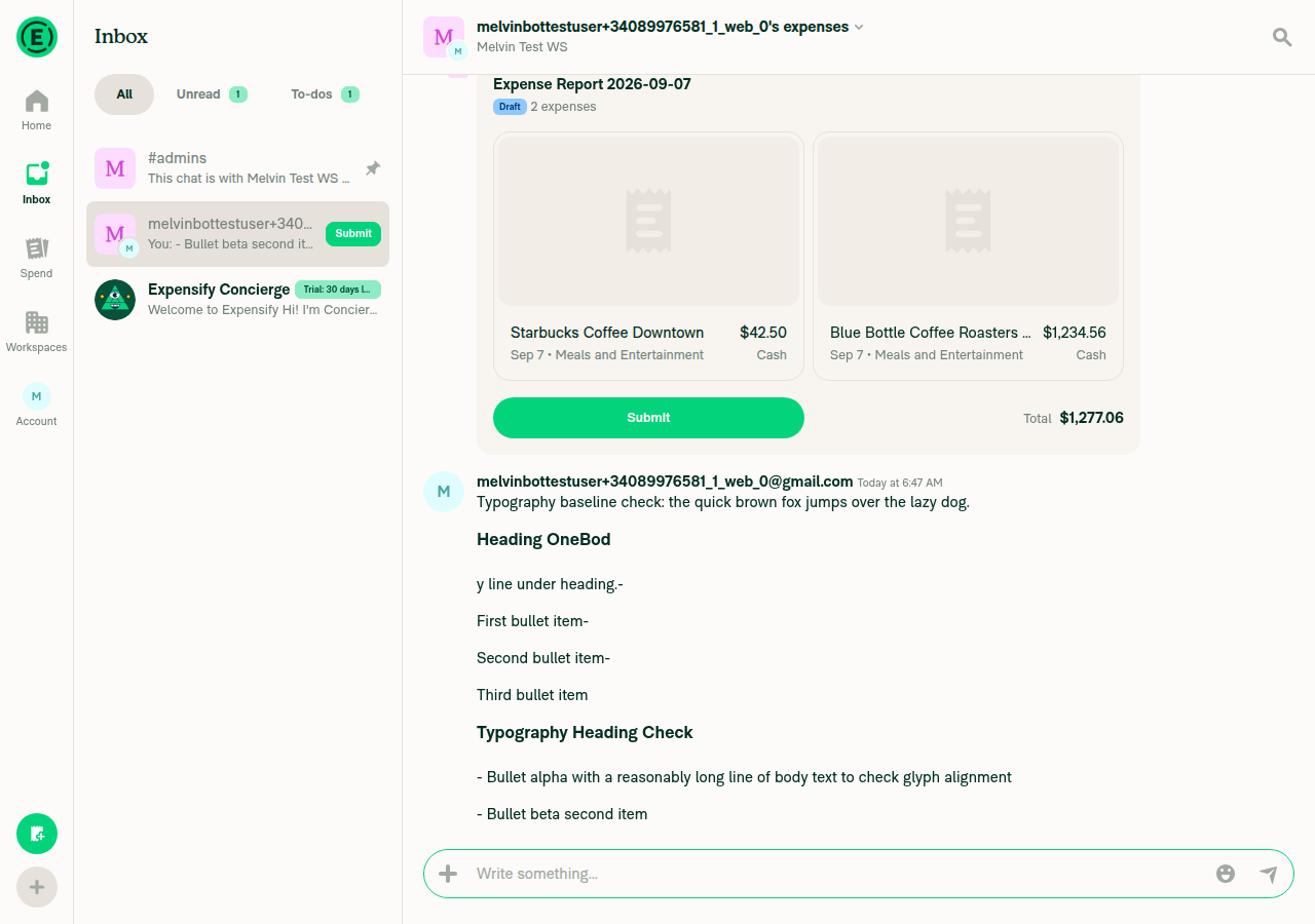 Chat with rendered markdown heading; hyphen line renders as literal text, not a bullet list