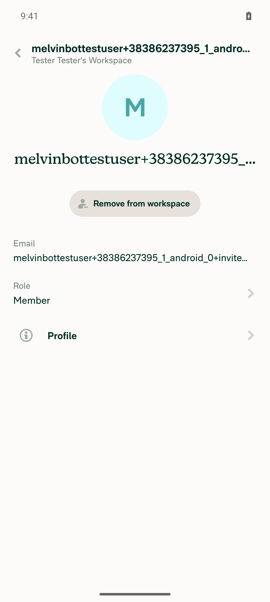Member details page opens correctly right after invite