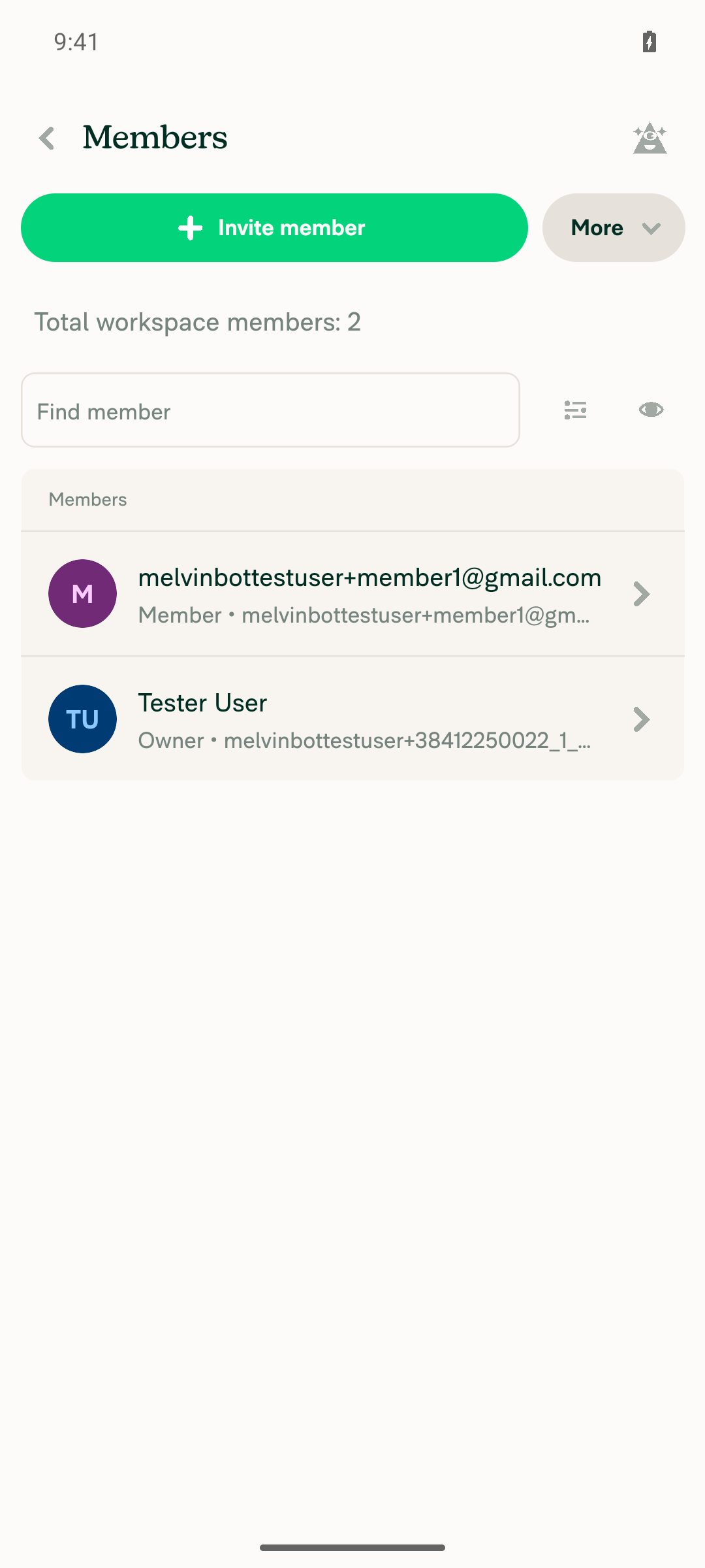 Workspace Members list showing 2 members after invite