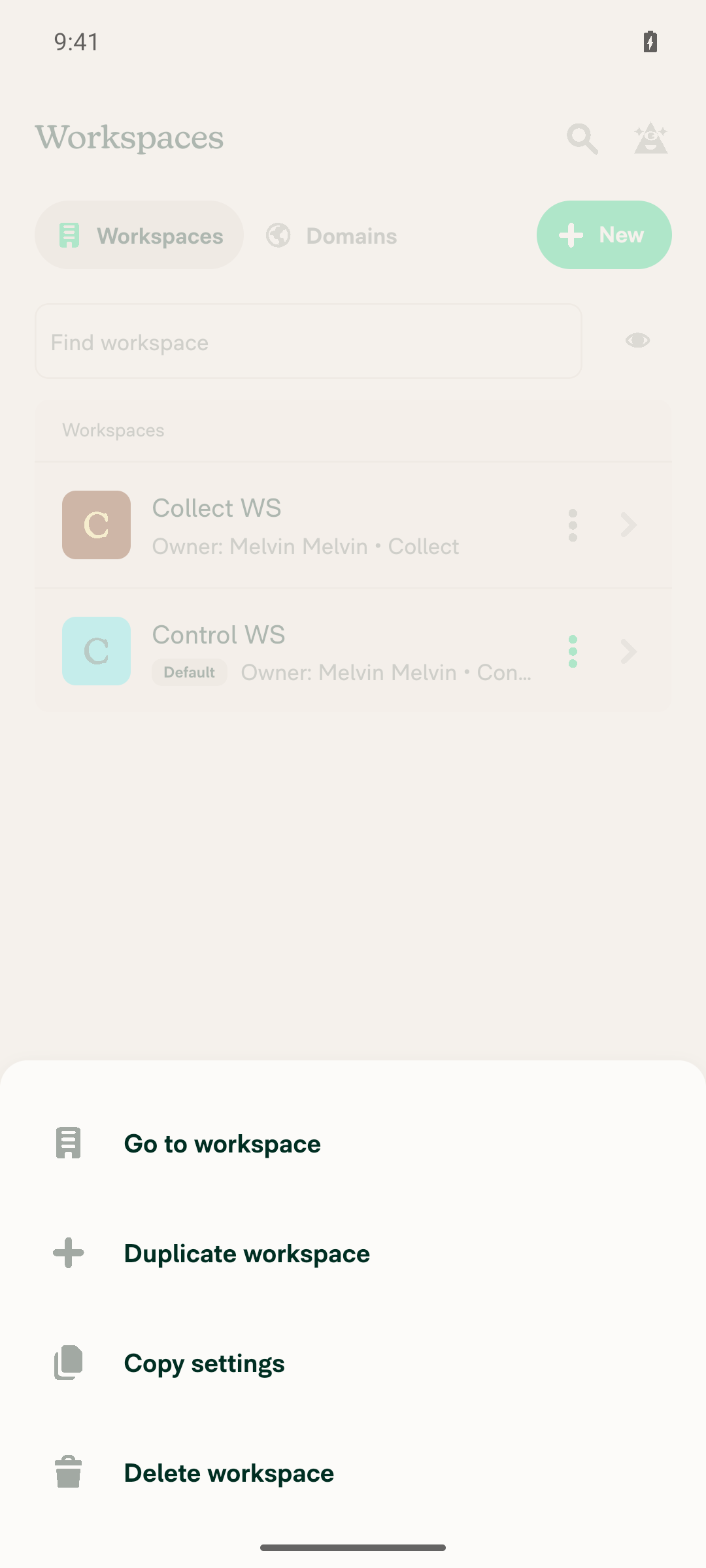 Overflow menu on Control WS listing Copy settings