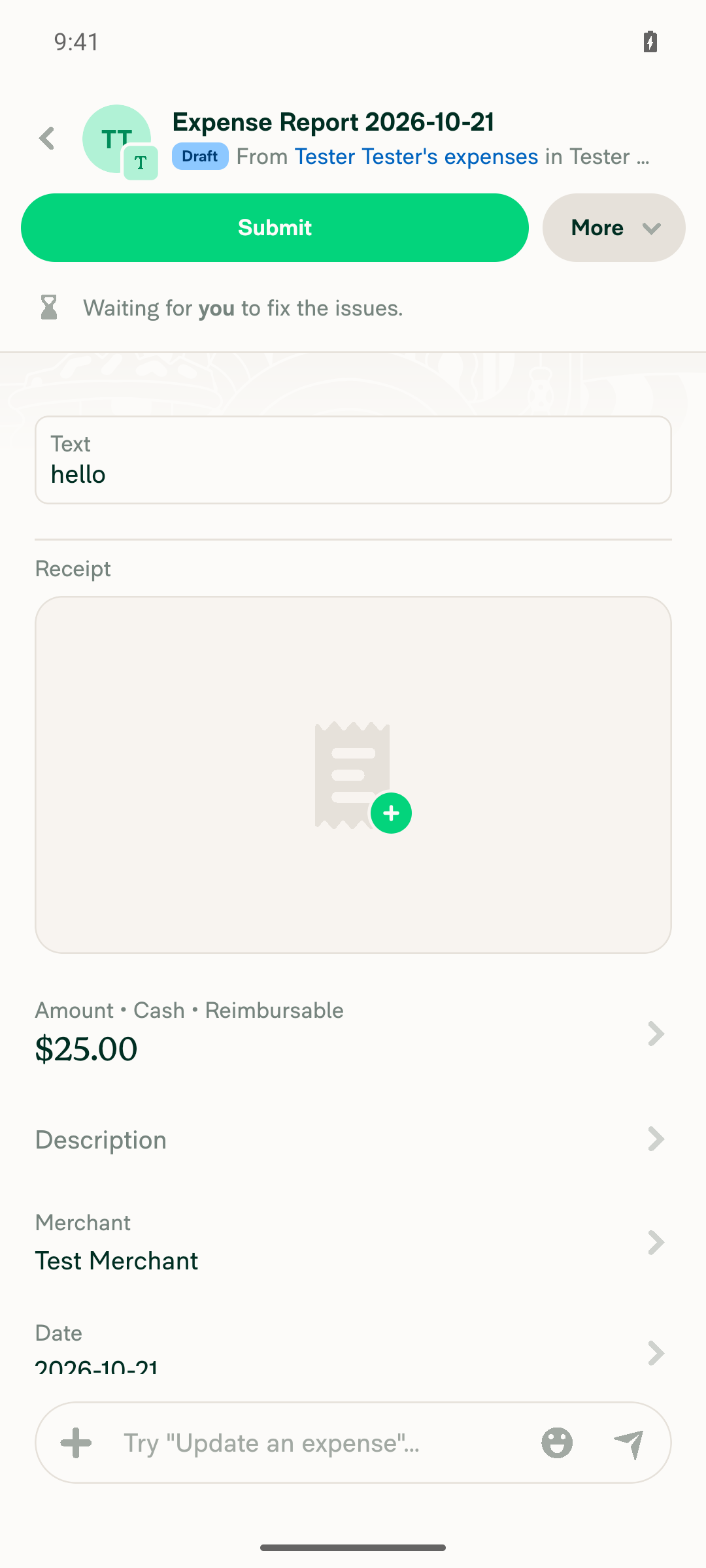 Expense report showing the text report field with value hello