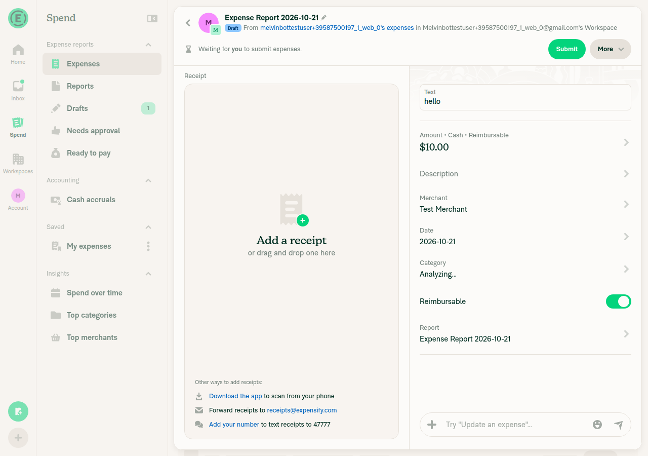 Expense report showing the Text report field pre-filled with hello