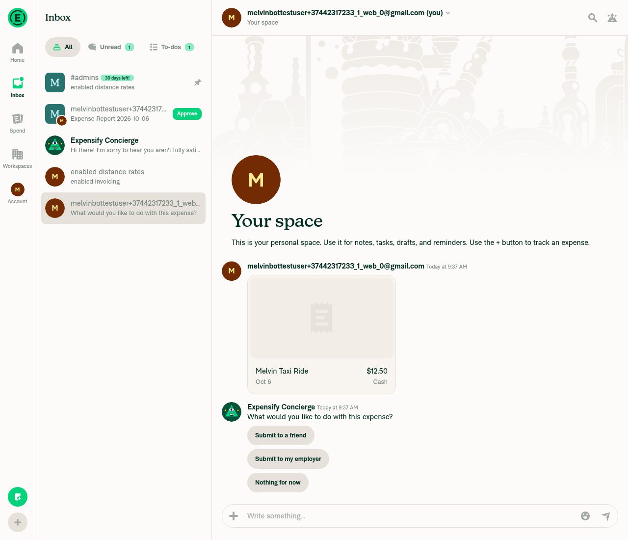 Tracked expense in self-DM