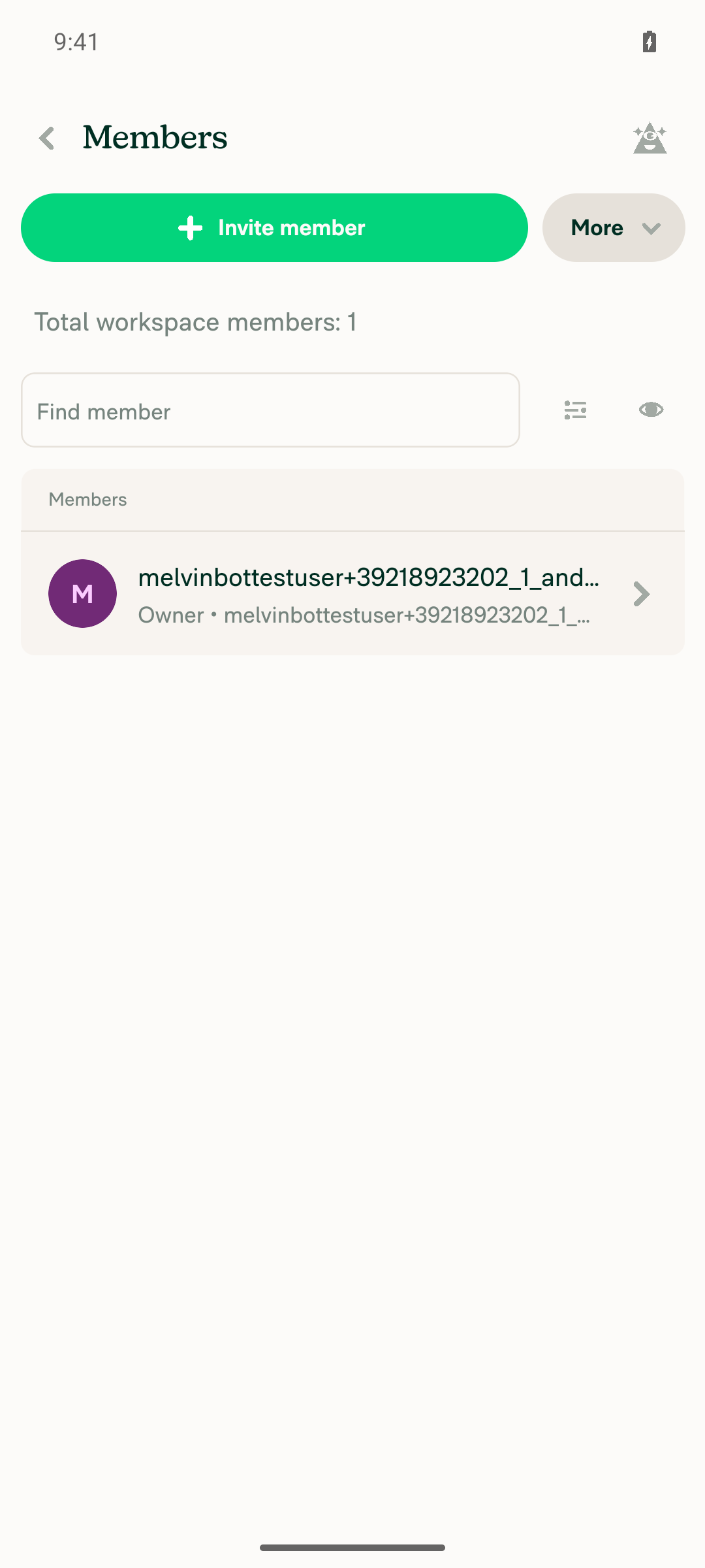 Workspace Members page listing the current user as Owner