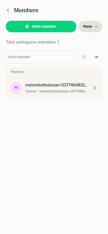 Workspace Members sub-page with no bottom tab bar