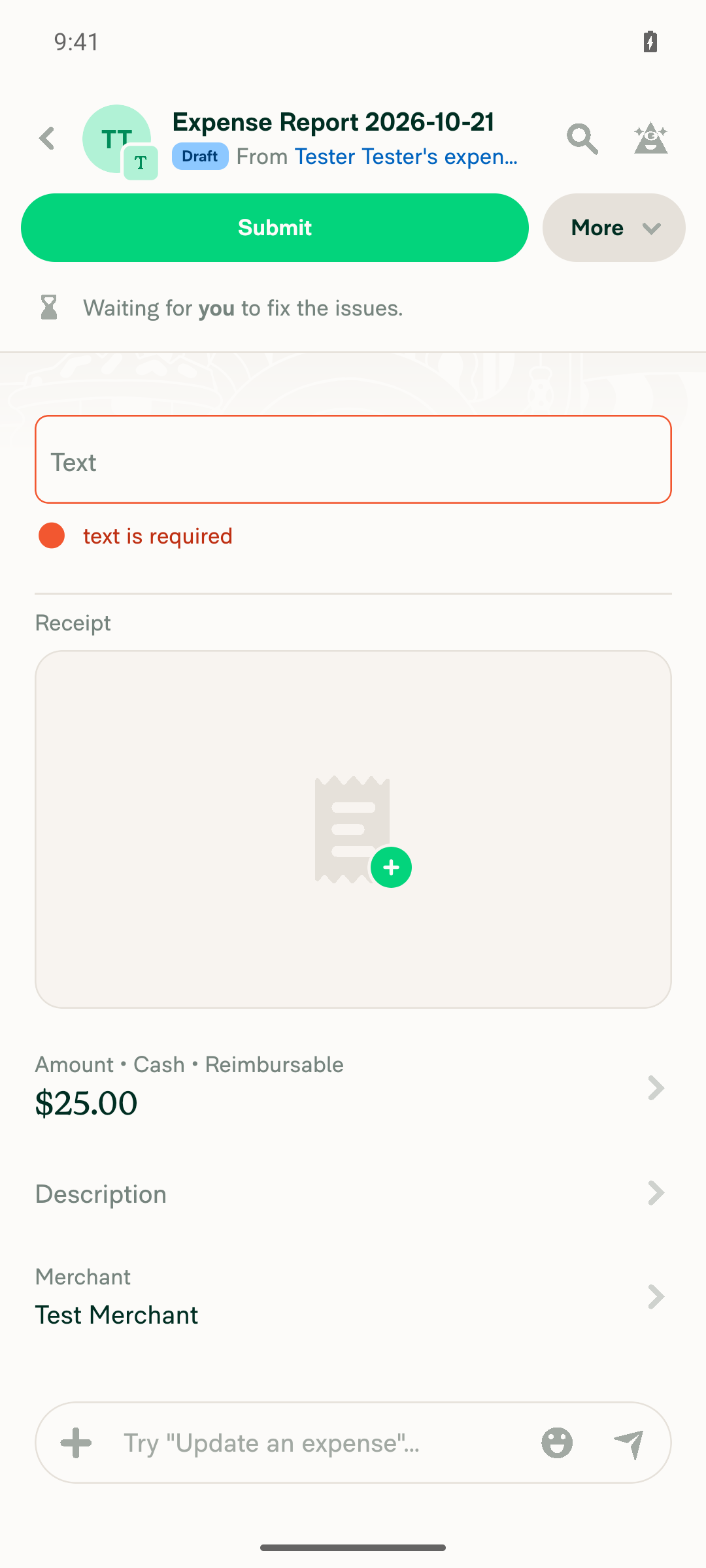Report field cleared, showing empty value and validation error