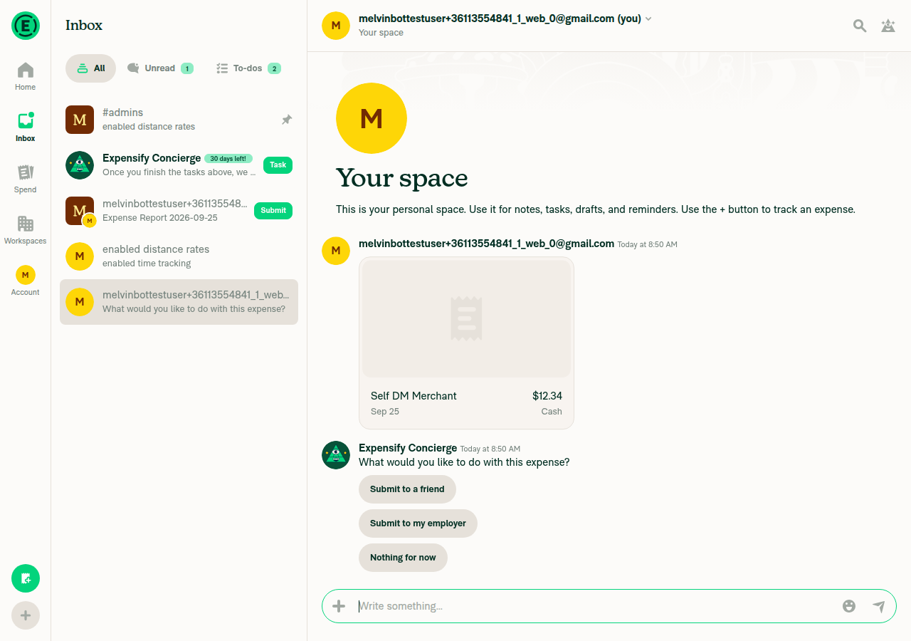 Tracked expense in self DM