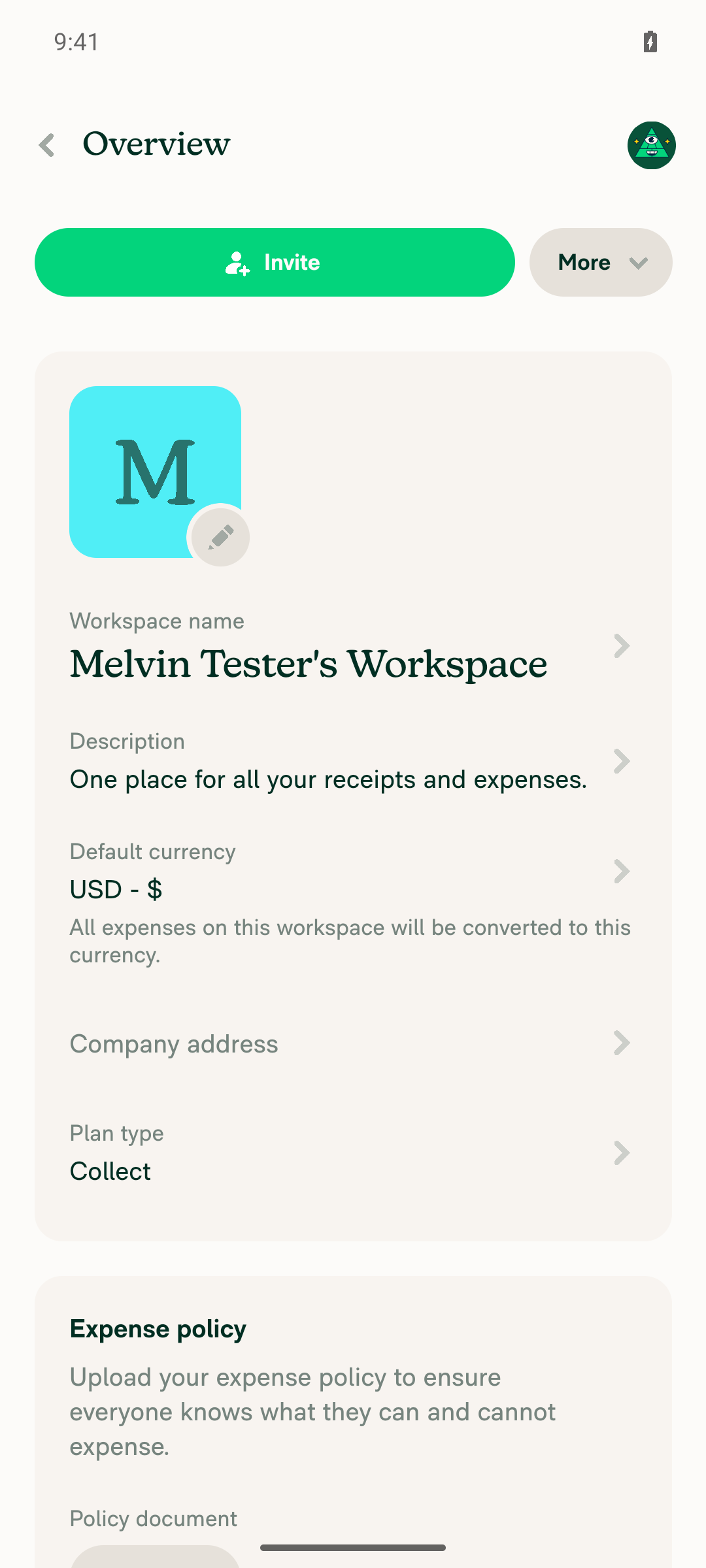 Workspace Overview page showing the Expense policy section header