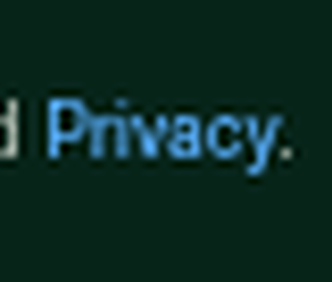 Zoomed 'Privacy' link showing full y descender