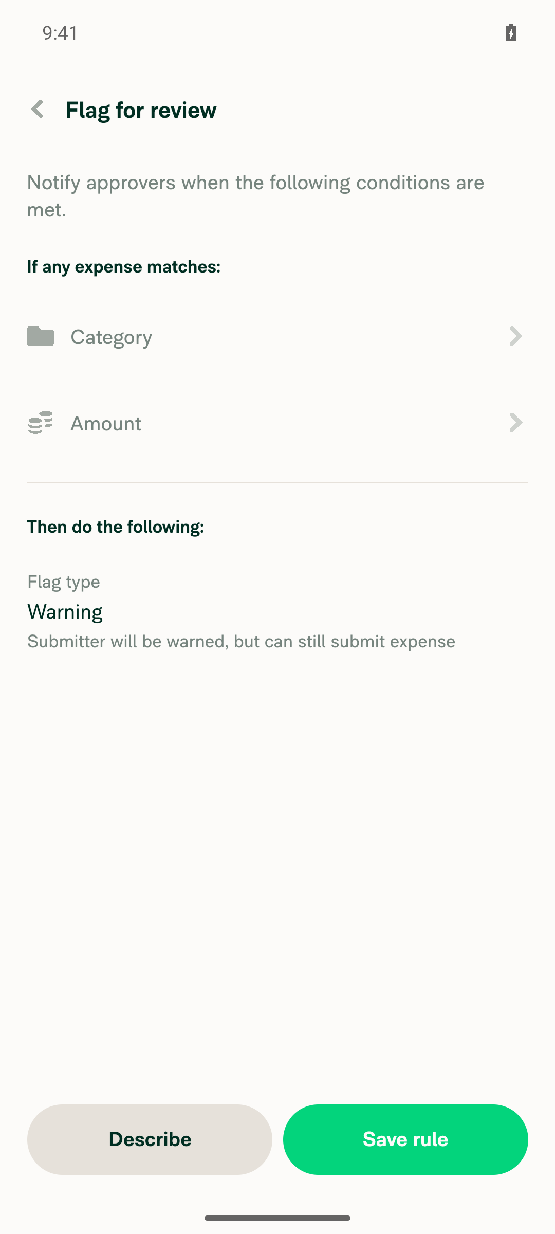 Flag for review editor footer with Describe button
