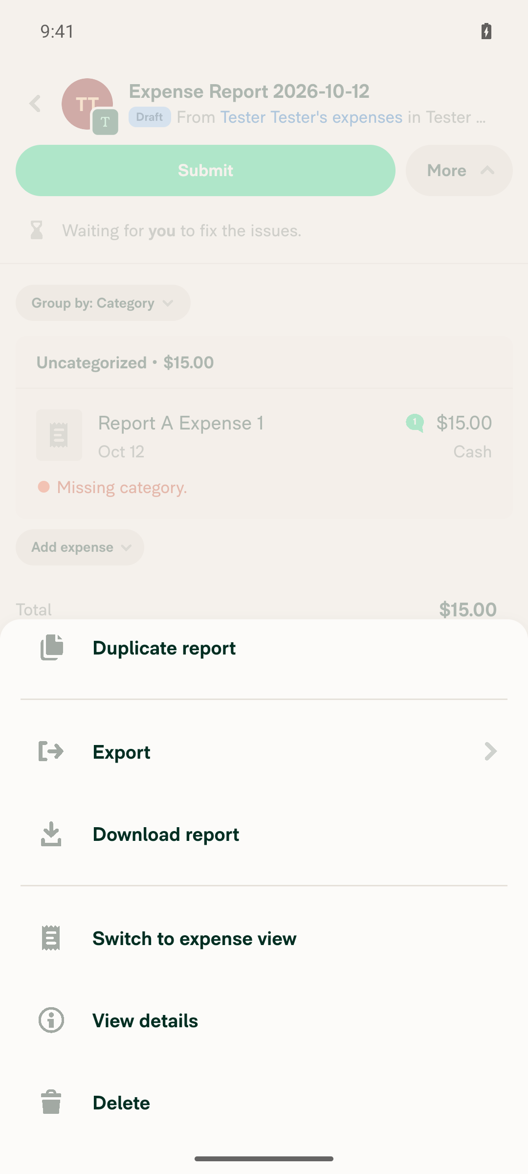 More menu with Switch to expense view