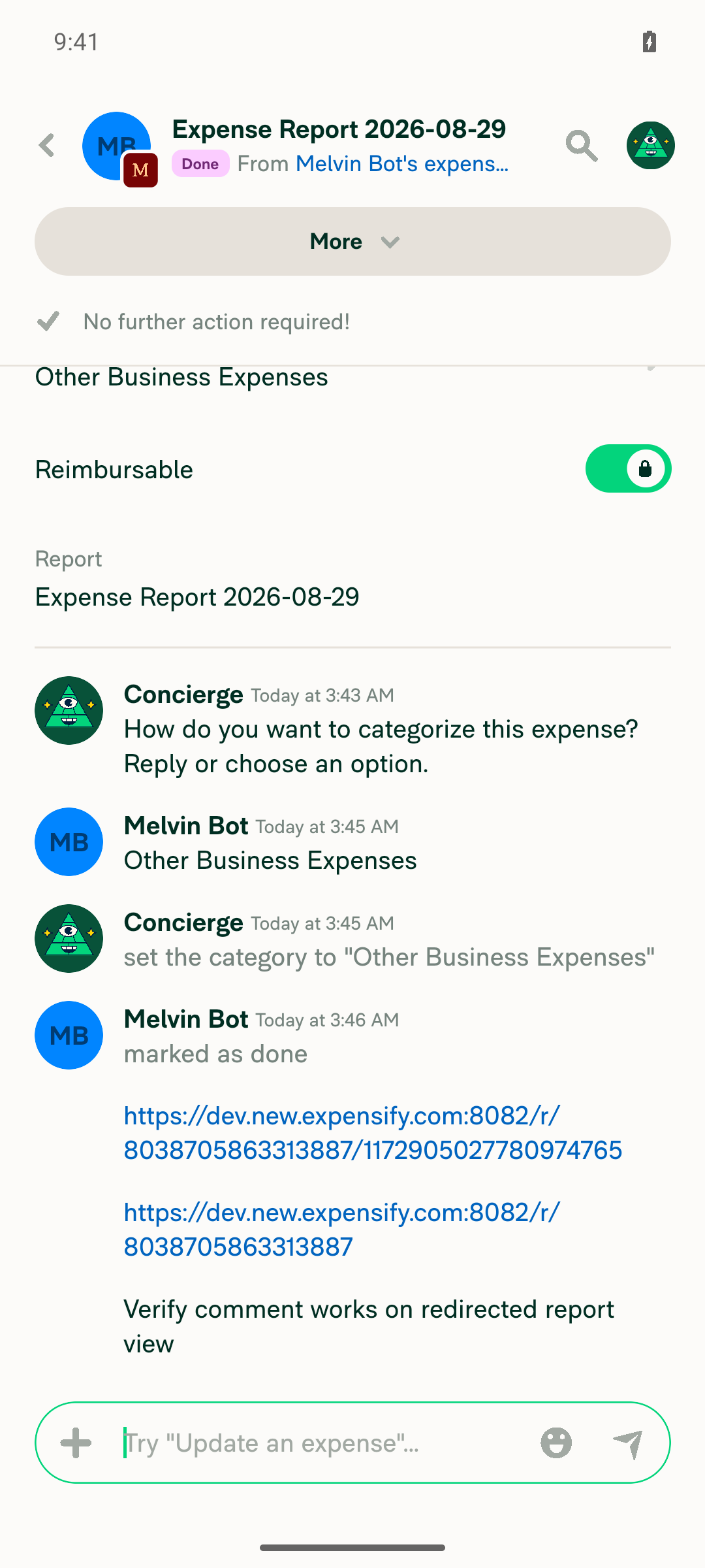Report shows expense details plus a working added comment