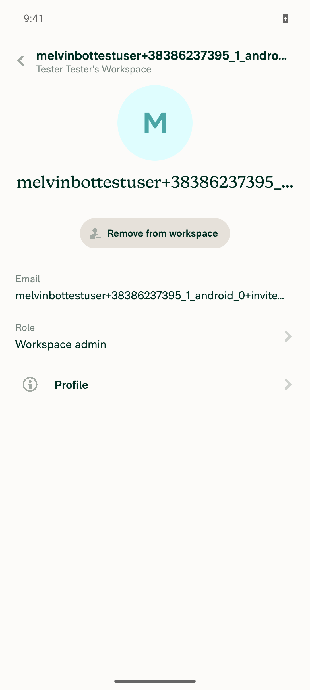 Member details page shows updated role (Workspace admin)