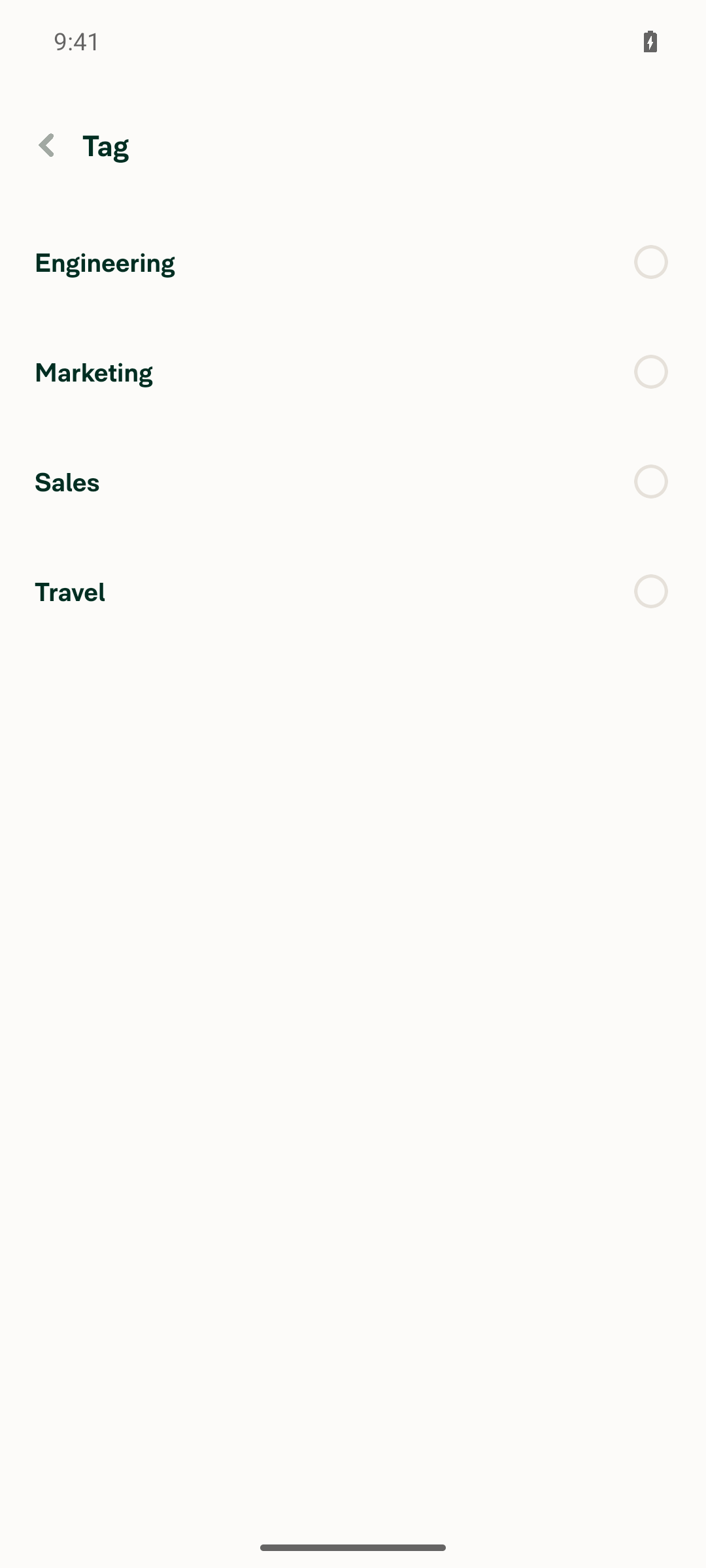 Tag picker showing full list (4 tags) on new (unsaved) expense