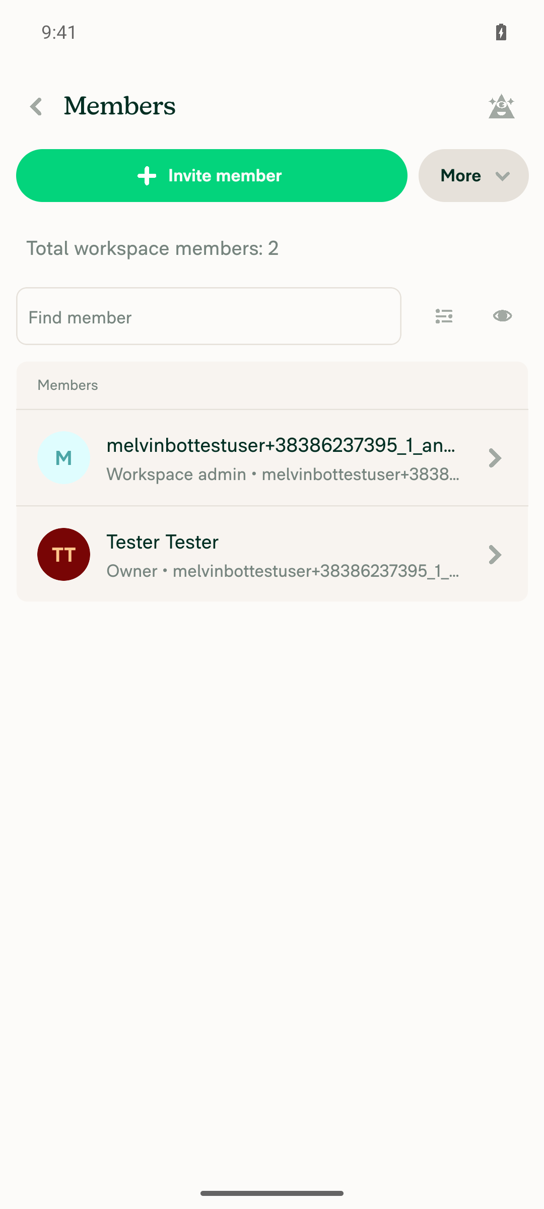 Members list shows updated Workspace admin role with no error indicator