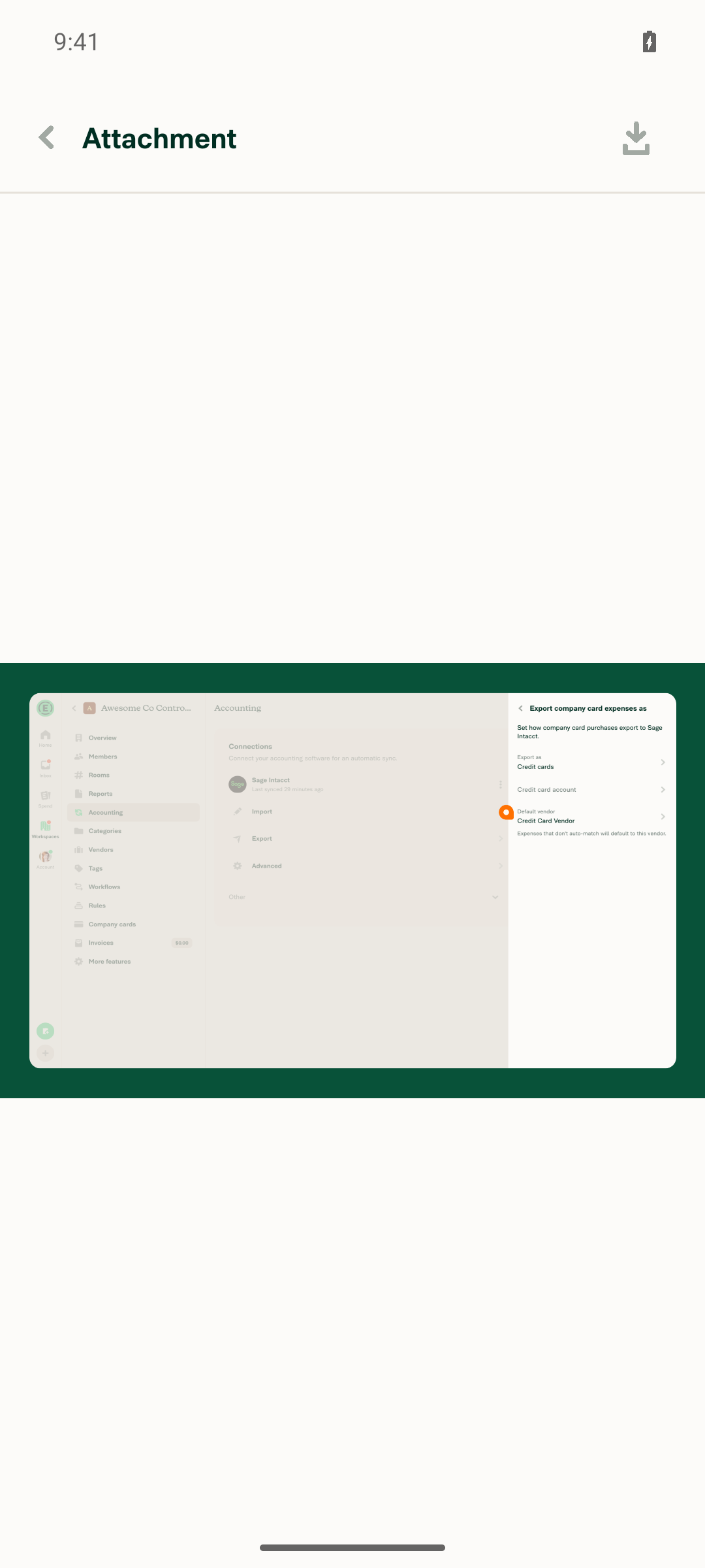 Full-screen attachment preview rendering the image