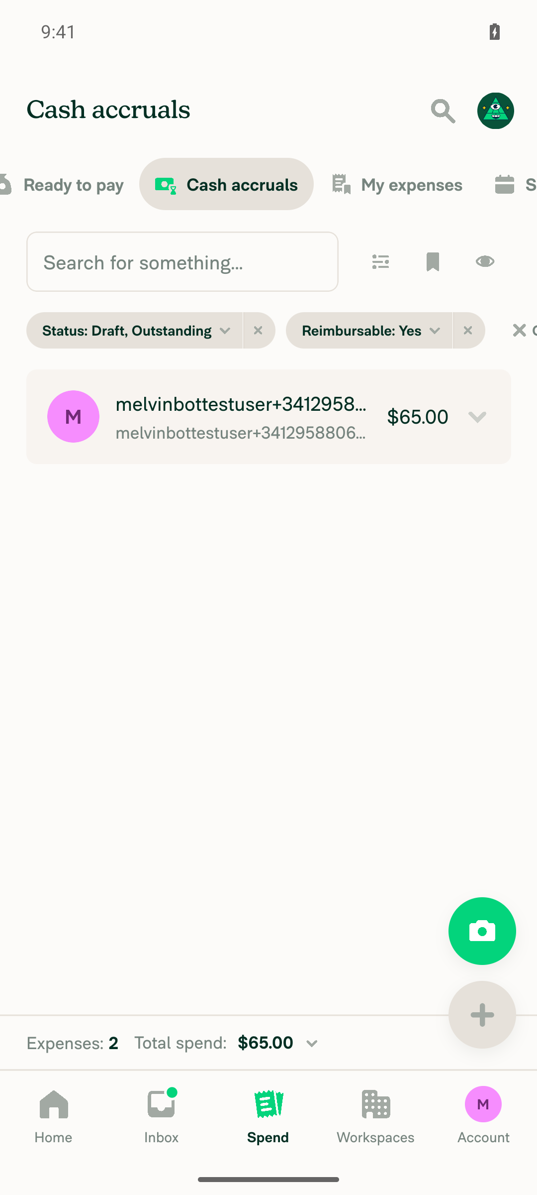 Cash accruals grouped search showing one group row