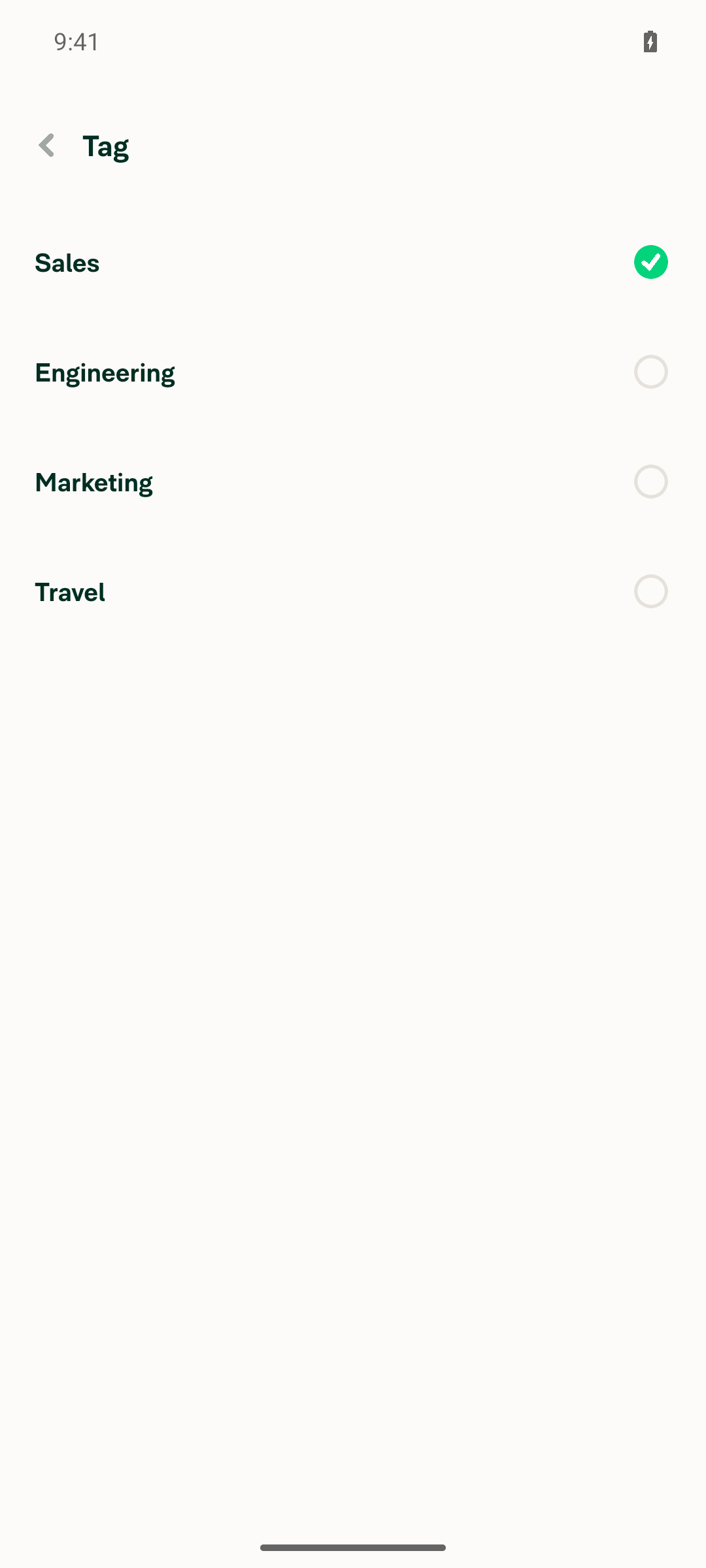Tag picker showing full list plus selected tag on reopened/persisted expense