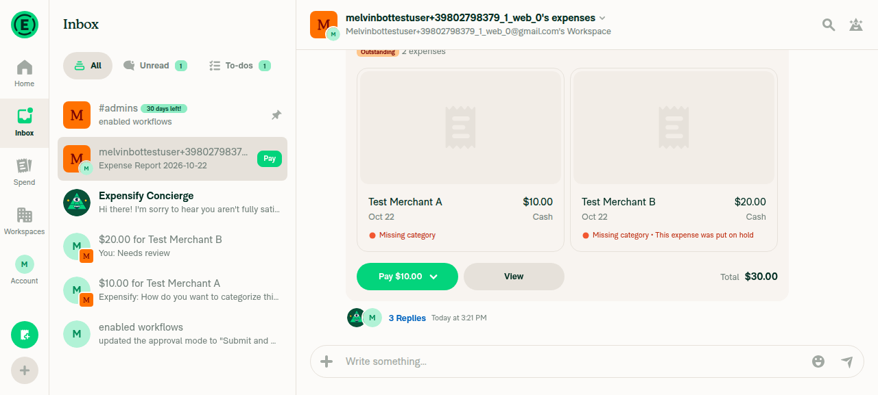 Report preview showing Pay button
