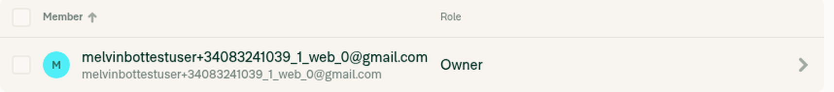 2x zoom on the member cell with long name and email in full