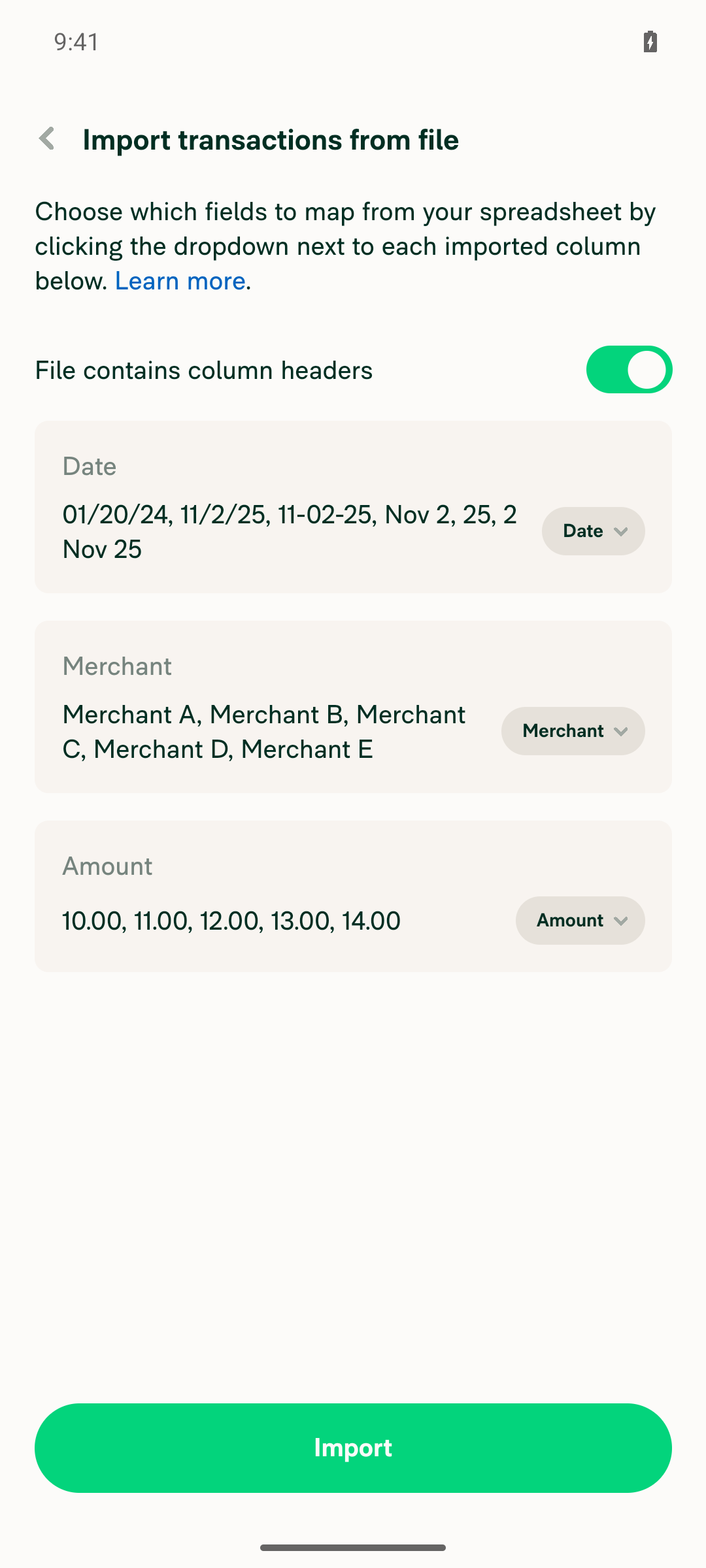 Column mapping screen with Date, Merchant, and Amount columns