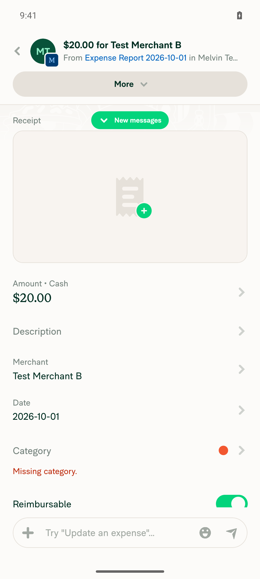 Test Merchant B expense detail