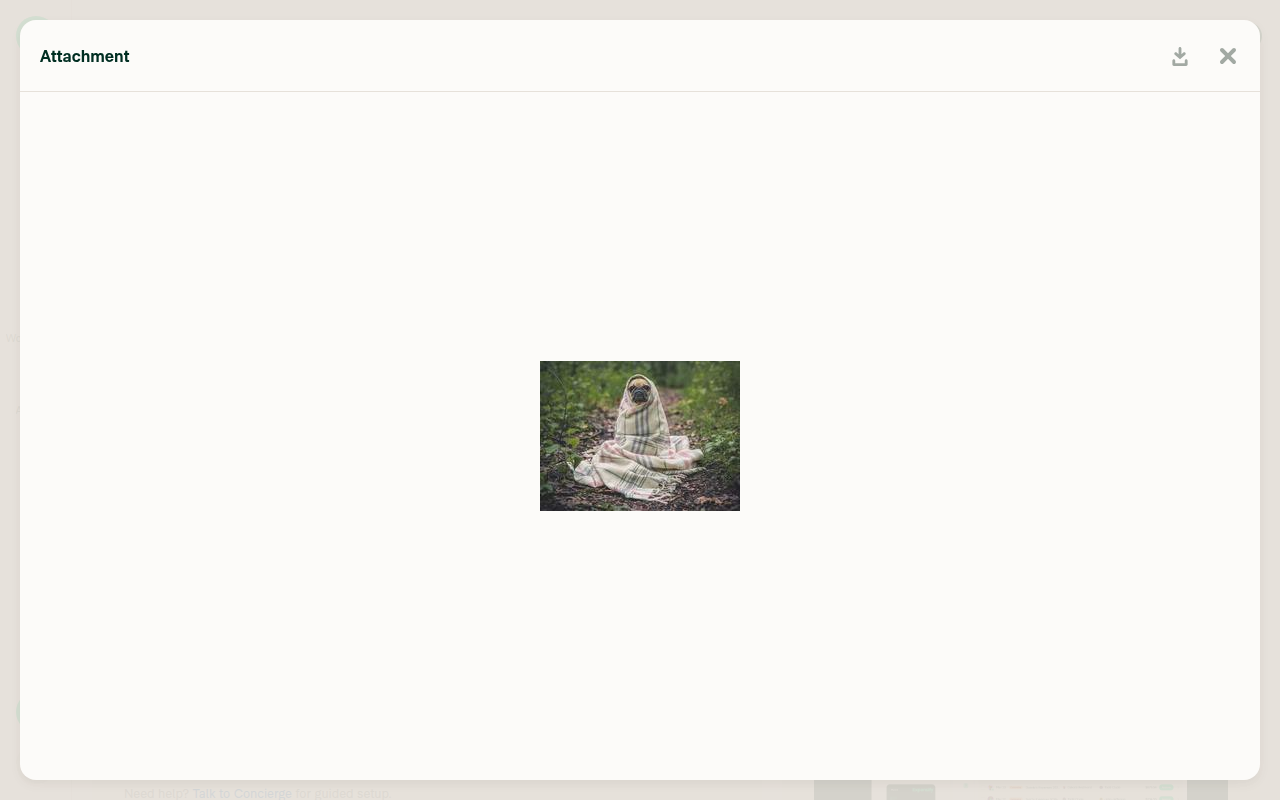 Small image at natural size