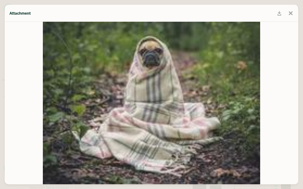 Small image zoomed in sanely after click