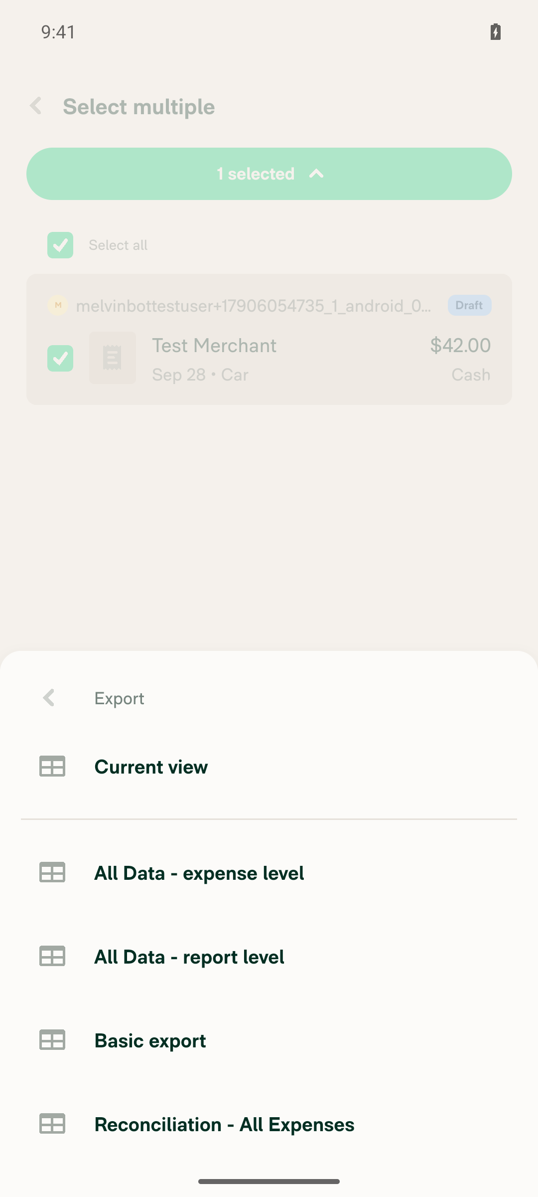 Full export template list for ungrouped expense selection