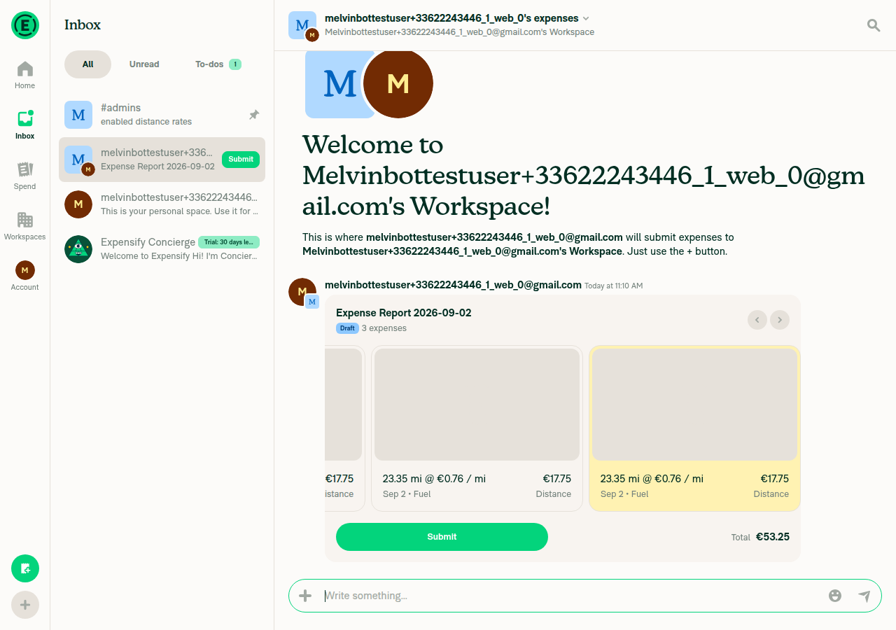 Both expenses in the workspace report