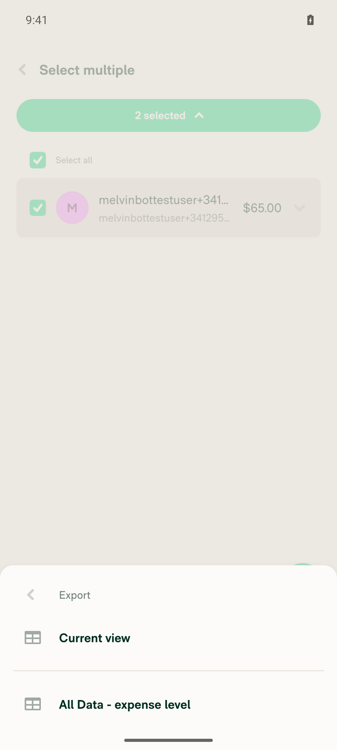 Export submenu listing Current view and All Data - expense level
