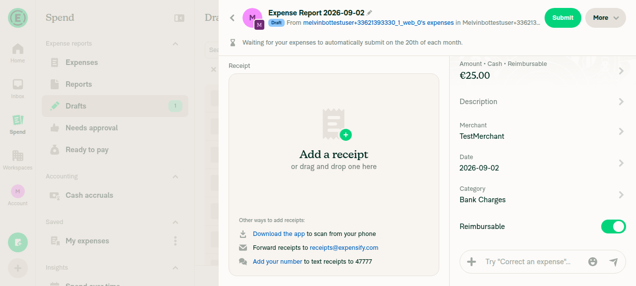 Report next-step message: Waiting for your expenses to automatically submit on the 20th of each month