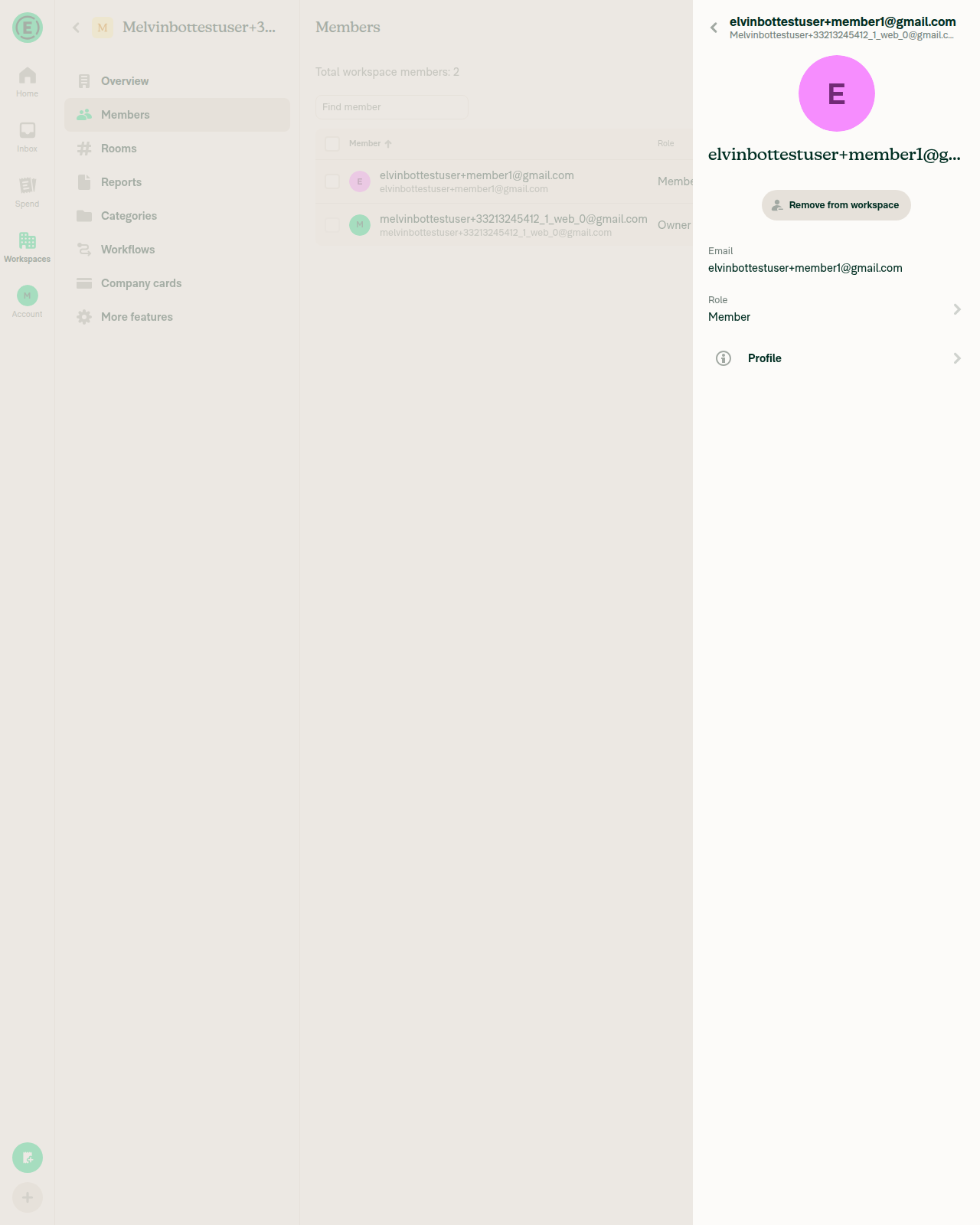 Member profile panel showing 'Remove from workspace' button