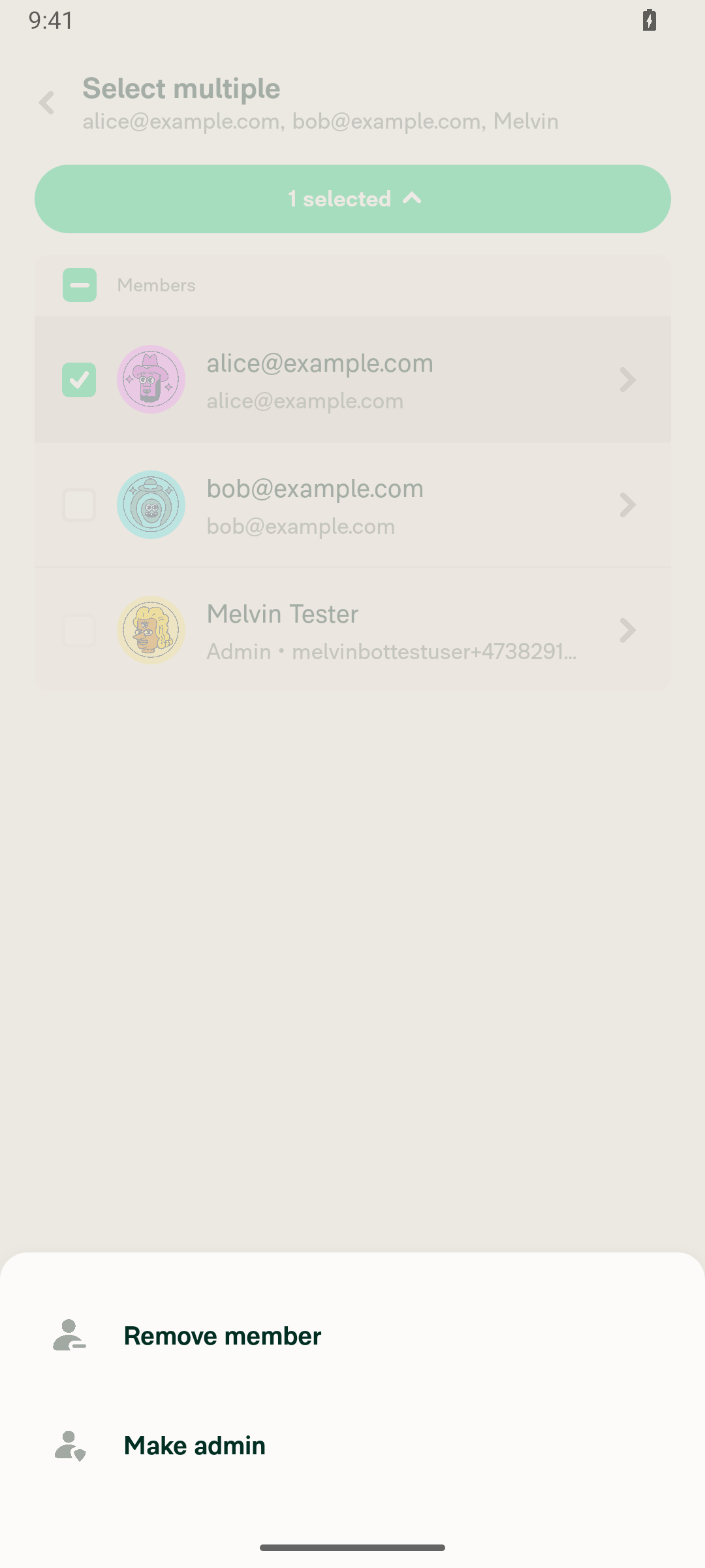 Bulk actions menu: Remove member and Make admin