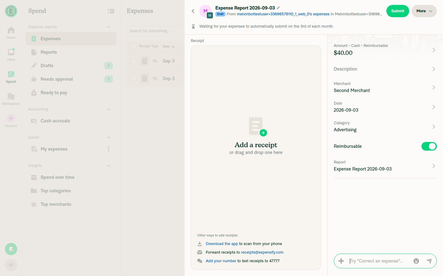 Draft expense report showing next-step auto-submit message