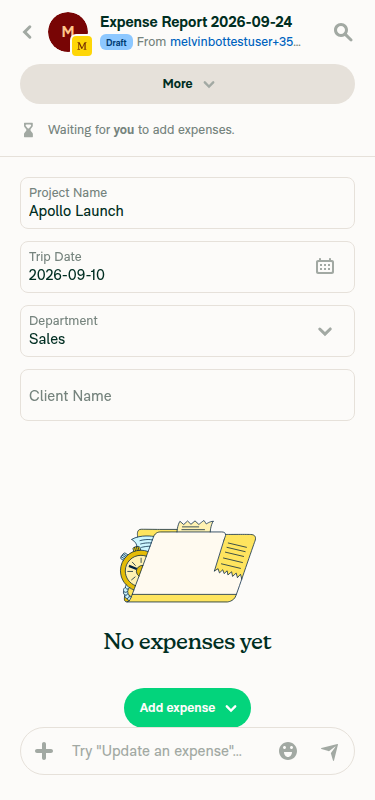 Report fields stacked one per row at a 375px mobile width