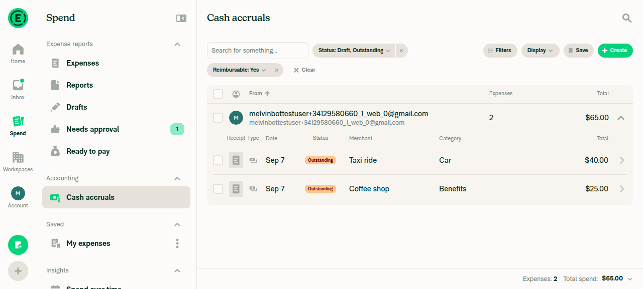 Cash accruals group expanded showing 2 child expense rows