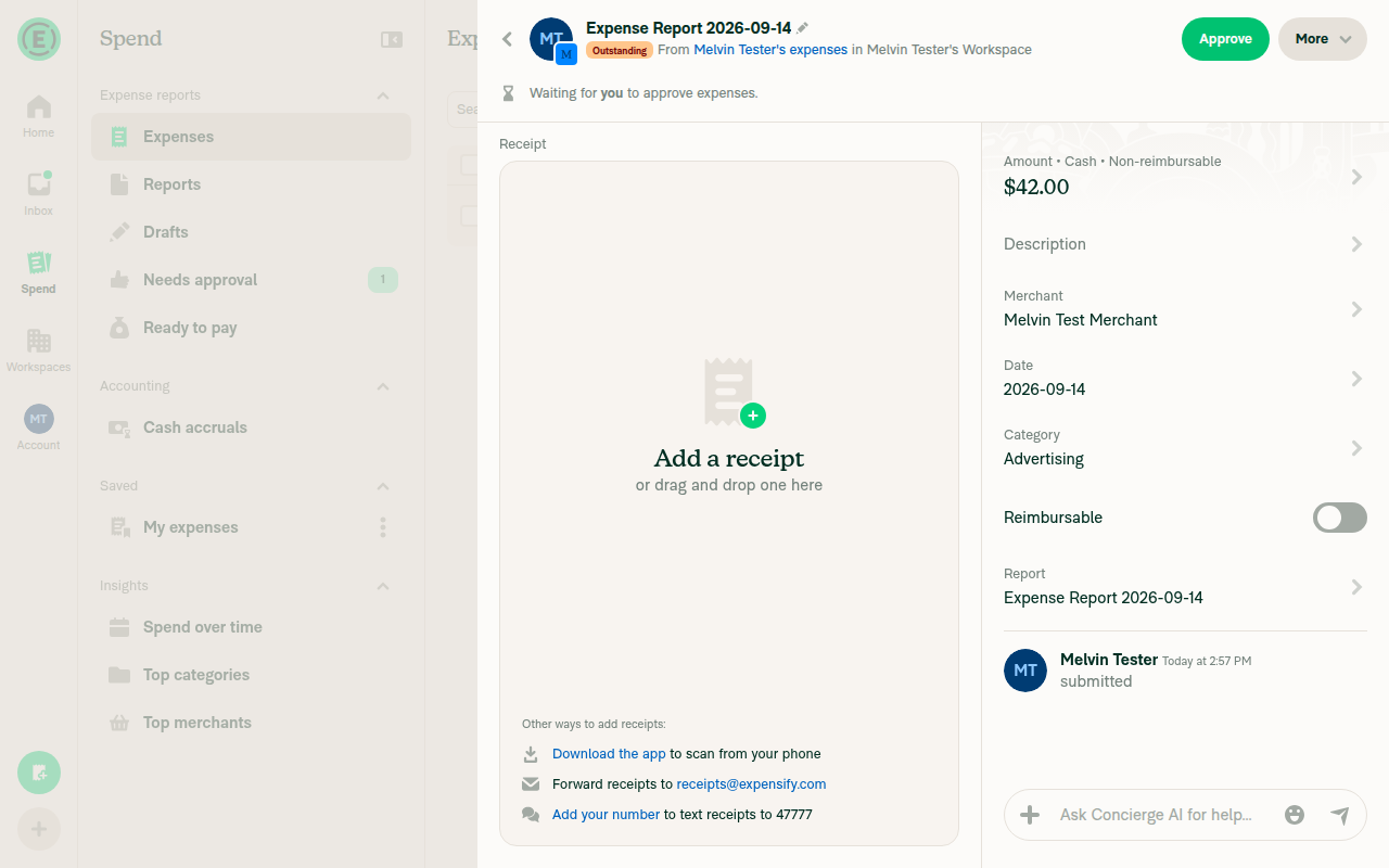 Submitted non-reimbursable expense detail panel with Category shown and no Vendor row