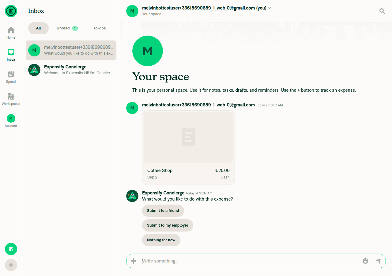 Manual expense successfully submitted, visible in chat