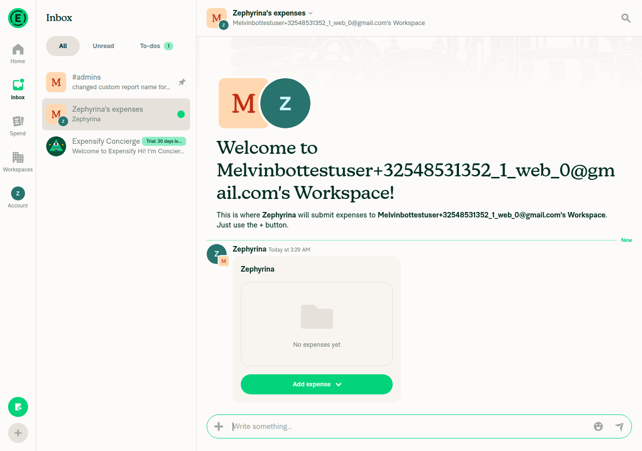 Workspace chat immediately after Create report, report card titled Zephyrina with no placeholder