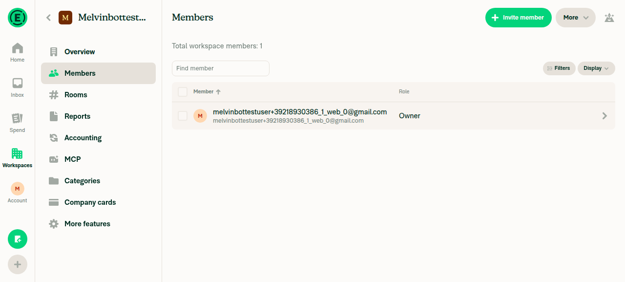 Workspace Members page listing current user as Owner