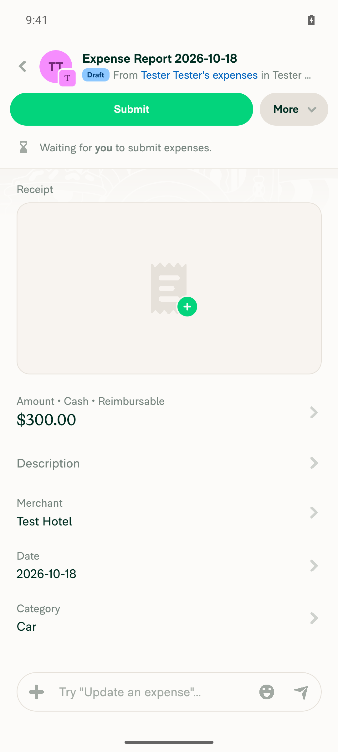 Expense view showing the Category row (Car) with no reservation hint