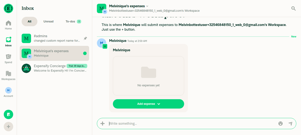 New report preview card in workspace chat showing resolved title 'Melvinique'